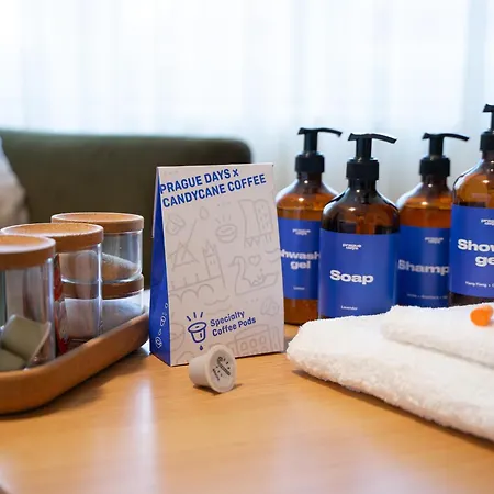 Days - Skandi With Workspace - Hip Area 公寓 布拉格